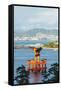 Torii Gate of Itsukushima Jinja Shinto Shrine, Miyajima Island, Hiroshima Prefecture-Christian Kober-Framed Stretched Canvas