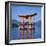 Torii Gate Shrine, (Itsukushima-Jingu Miya Jima), Japan-Christopher Rennie-Framed Photographic Print