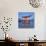 Torii Gate Shrine, (Itsukushima-Jingu Miya Jima), Japan-Christopher Rennie-Photographic Print displayed on a wall