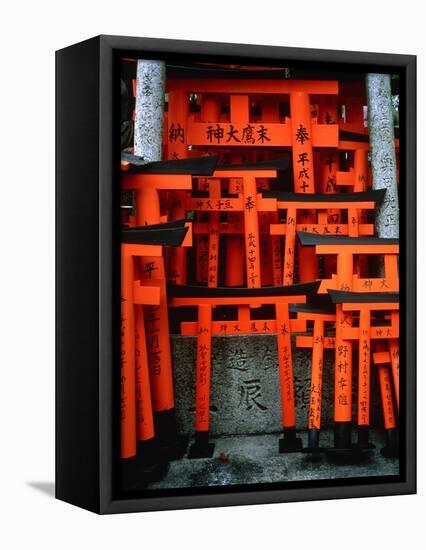 Torii Gates at Fushimi Inari Shrine, Japan, Kyoto-Murat Taner-Framed Stretched Canvas