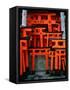 Torii Gates at Fushimi Inari Shrine, Japan, Kyoto-Murat Taner-Framed Stretched Canvas