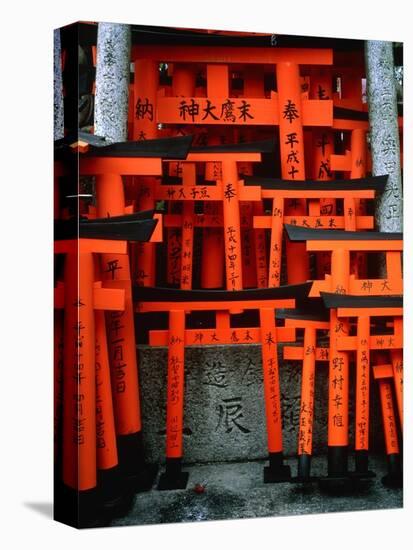 Torii Gates at Fushimi Inari Shrine, Japan, Kyoto-Murat Taner-Stretched Canvas