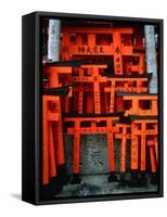 Torii Gates at Fushimi Inari Shrine, Japan, Kyoto-Murat Taner-Framed Stretched Canvas