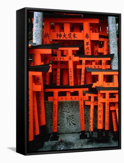 Torii Gates at Fushimi Inari Shrine, Japan, Kyoto-Murat Taner-Framed Stretched Canvas