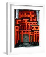 Torii Gates at Fushimi Inari Shrine, Japan, Kyoto-Murat Taner-Framed Photographic Print