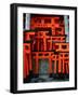 Torii Gates at Fushimi Inari Shrine, Japan, Kyoto-Murat Taner-Framed Photographic Print