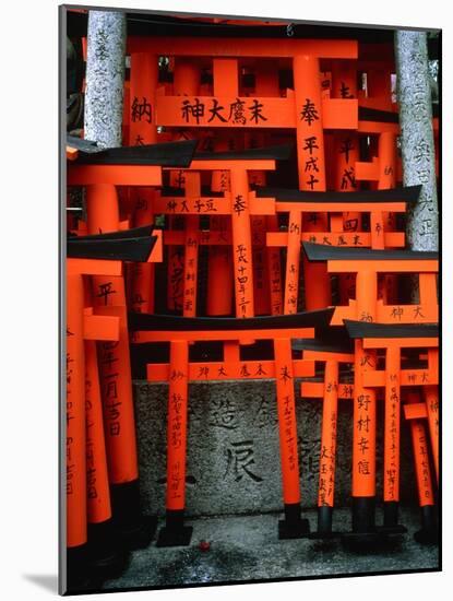 Torii Gates at Fushimi Inari Shrine, Japan, Kyoto-Murat Taner-Mounted Photographic Print