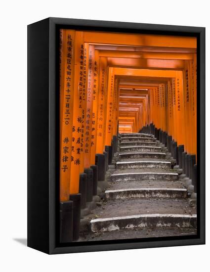 Torii Gates, Fushimi Inari Taisha Shrine, Kyoto, Honshu, Japan-Gavin Hellier-Framed Stretched Canvas