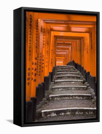 Torii Gates, Fushimi Inari Taisha Shrine, Kyoto, Honshu, Japan-Gavin Hellier-Framed Stretched Canvas
