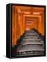 Torii Gates, Fushimi Inari Taisha Shrine, Kyoto, Honshu, Japan-Gavin Hellier-Framed Stretched Canvas