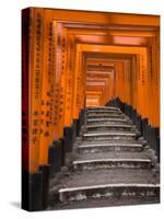 Torii Gates, Fushimi Inari Taisha Shrine, Kyoto, Honshu, Japan-Gavin Hellier-Stretched Canvas