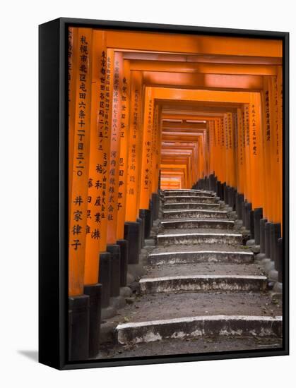 Torii Gates, Fushimi Inari Taisha Shrine, Kyoto, Honshu, Japan-Gavin Hellier-Framed Stretched Canvas