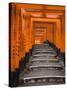Torii Gates, Fushimi Inari Taisha Shrine, Kyoto, Honshu, Japan-Gavin Hellier-Stretched Canvas