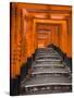 Torii Gates, Fushimi Inari Taisha Shrine, Kyoto, Honshu, Japan-Gavin Hellier-Stretched Canvas