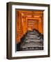 Torii Gates, Fushimi Inari Taisha Shrine, Kyoto, Honshu, Japan-Gavin Hellier-Framed Premium Photographic Print