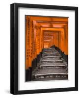 Torii Gates, Fushimi Inari Taisha Shrine, Kyoto, Honshu, Japan-Gavin Hellier-Framed Premium Photographic Print