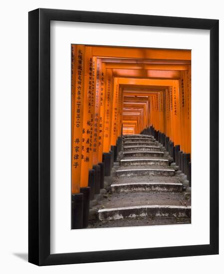 Torii Gates, Fushimi Inari Taisha Shrine, Kyoto, Honshu, Japan-Gavin Hellier-Framed Premium Photographic Print