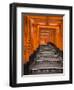 Torii Gates, Fushimi Inari Taisha Shrine, Kyoto, Honshu, Japan-Gavin Hellier-Framed Premium Photographic Print