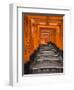 Torii Gates, Fushimi Inari Taisha Shrine, Kyoto, Honshu, Japan-Gavin Hellier-Framed Premium Photographic Print