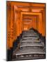 Torii Gates, Fushimi Inari Taisha Shrine, Kyoto, Honshu, Japan-Gavin Hellier-Mounted Premium Photographic Print