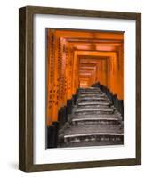 Torii Gates, Fushimi Inari Taisha Shrine, Kyoto, Honshu, Japan-Gavin Hellier-Framed Photographic Print