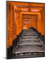 Torii Gates, Fushimi Inari Taisha Shrine, Kyoto, Honshu, Japan-Gavin Hellier-Mounted Photographic Print