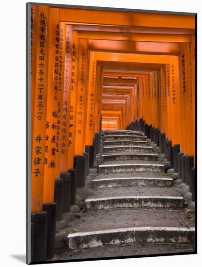 Torii Gates, Fushimi Inari Taisha Shrine, Kyoto, Honshu, Japan-Gavin Hellier-Mounted Photographic Print