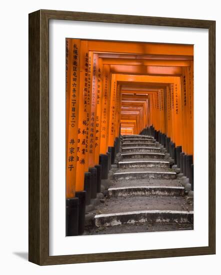 Torii Gates, Fushimi Inari Taisha Shrine, Kyoto, Honshu, Japan-Gavin Hellier-Framed Photographic Print