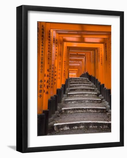 Torii Gates, Fushimi Inari Taisha Shrine, Kyoto, Honshu, Japan-Gavin Hellier-Framed Photographic Print