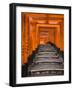 Torii Gates, Fushimi Inari Taisha Shrine, Kyoto, Honshu, Japan-Gavin Hellier-Framed Photographic Print