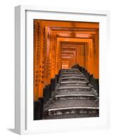 Torii Gates, Fushimi Inari Taisha Shrine, Kyoto, Honshu, Japan-Gavin Hellier-Framed Photographic Print