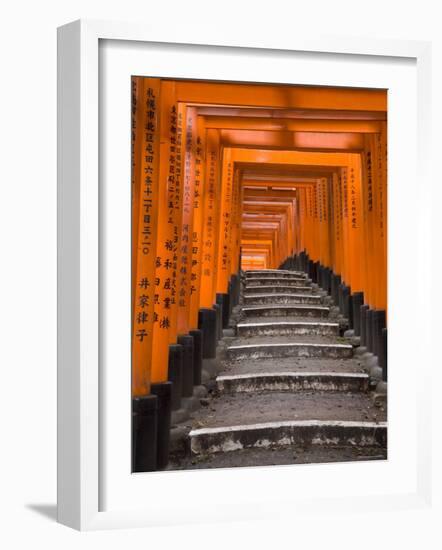 Torii Gates, Fushimi Inari Taisha Shrine, Kyoto, Honshu, Japan-Gavin Hellier-Framed Photographic Print