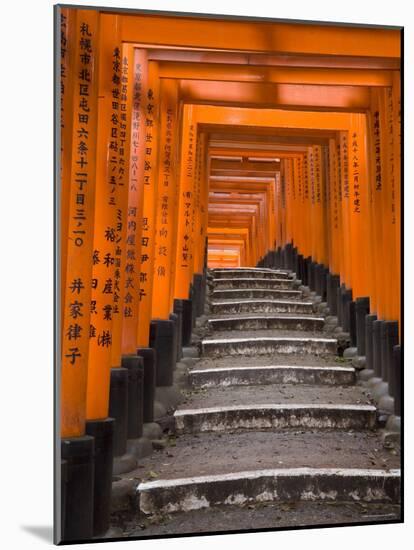 Torii Gates, Fushimi Inari Taisha Shrine, Kyoto, Honshu, Japan-Gavin Hellier-Mounted Photographic Print