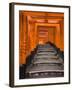 Torii Gates, Fushimi Inari Taisha Shrine, Kyoto, Honshu, Japan-Gavin Hellier-Framed Photographic Print