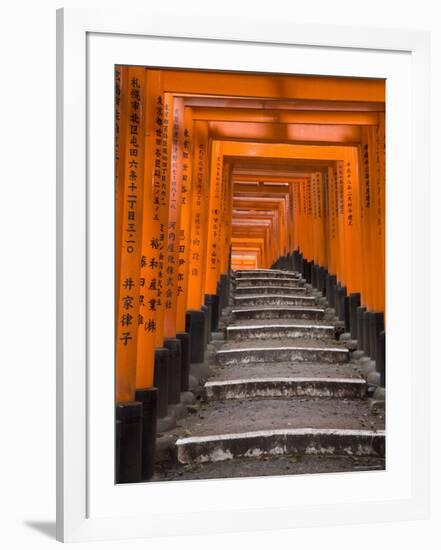 Torii Gates, Fushimi Inari Taisha Shrine, Kyoto, Honshu, Japan-Gavin Hellier-Framed Photographic Print