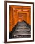 Torii Gates, Fushimi Inari Taisha Shrine, Kyoto, Honshu, Japan-Gavin Hellier-Framed Photographic Print