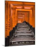 Torii Gates, Fushimi Inari Taisha Shrine, Kyoto, Honshu, Japan-Gavin Hellier-Mounted Photographic Print