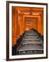 Torii Gates, Fushimi Inari Taisha Shrine, Kyoto, Honshu, Japan-Gavin Hellier-Framed Photographic Print