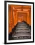 Torii Gates, Fushimi Inari Taisha Shrine, Kyoto, Honshu, Japan-Gavin Hellier-Framed Photographic Print