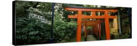 Torii Gates in a Park, Ueno Park, Taito, Tokyo Prefecture, Kanto Region, Japan-null-Stretched Canvas