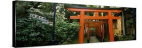 Torii Gates in a Park, Ueno Park, Taito, Tokyo Prefecture, Kanto Region, Japan-null-Stretched Canvas