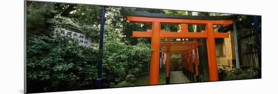 Torii Gates in a Park, Ueno Park, Taito, Tokyo Prefecture, Kanto Region, Japan-null-Mounted Photographic Print