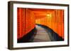 Torii Gates in Fushimi Inari Shrine, Kyoto, Japan-lkunl-Framed Photographic Print