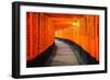 Torii Gates in Fushimi Inari Shrine, Kyoto, Japan-lkunl-Framed Photographic Print