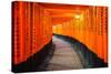 Torii Gates in Fushimi Inari Shrine, Kyoto, Japan-lkunl-Stretched Canvas