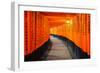 Torii Gates in Fushimi Inari Shrine, Kyoto, Japan-lkunl-Framed Photographic Print