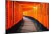 Torii Gates in Fushimi Inari Shrine, Kyoto, Japan-lkunl-Mounted Photographic Print