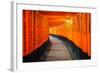 Torii Gates in Fushimi Inari Shrine, Kyoto, Japan-lkunl-Framed Photographic Print