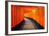 Torii Gates in Fushimi Inari Shrine, Kyoto, Japan-lkunl-Framed Photographic Print