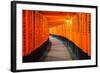 Torii Gates in Fushimi Inari Shrine, Kyoto, Japan-lkunl-Framed Photographic Print